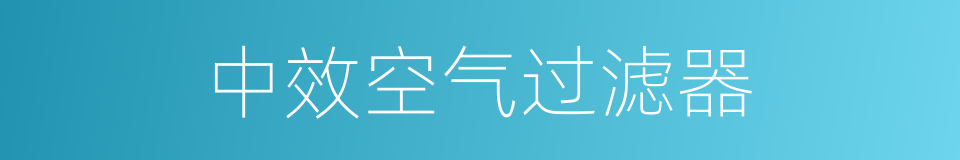 中效空气过滤器的同义词