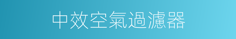 中效空氣過濾器的同義詞