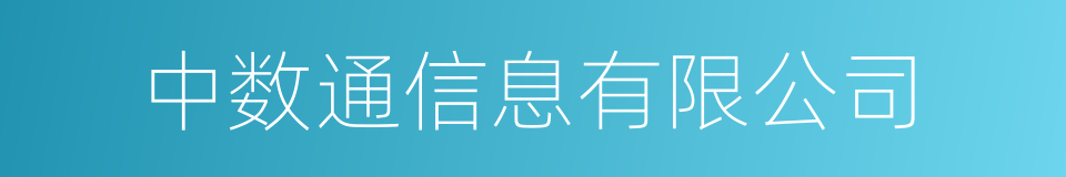 中数通信息有限公司的同义词