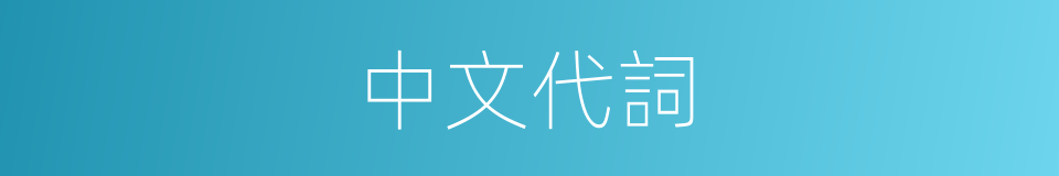 中文代詞的意思