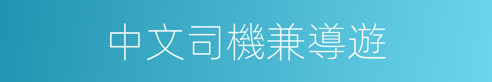 中文司機兼導遊的同義詞