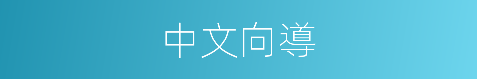 中文向導的同義詞