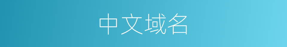 中文域名的同义词