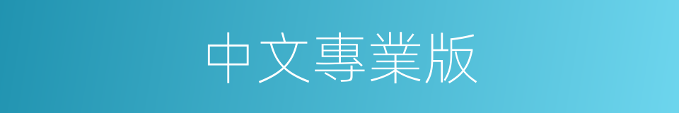 中文專業版的同義詞