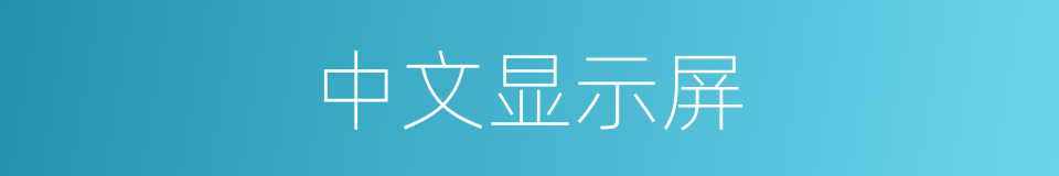 中文显示屏的同义词