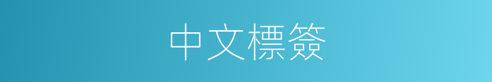 中文標簽的同義詞