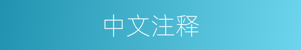 中文注释的意思
