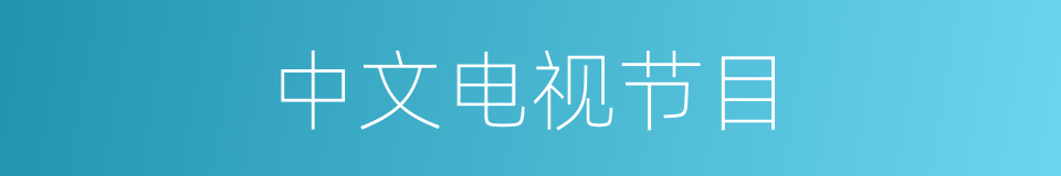 中文电视节目的同义词
