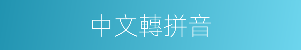 中文轉拼音的同義詞