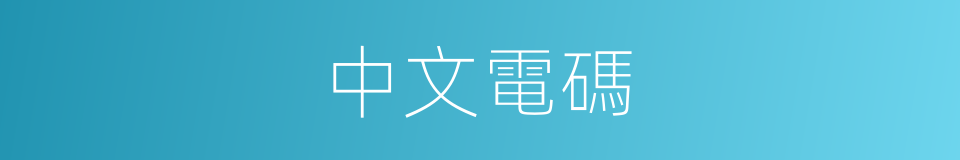 中文電碼的同義詞