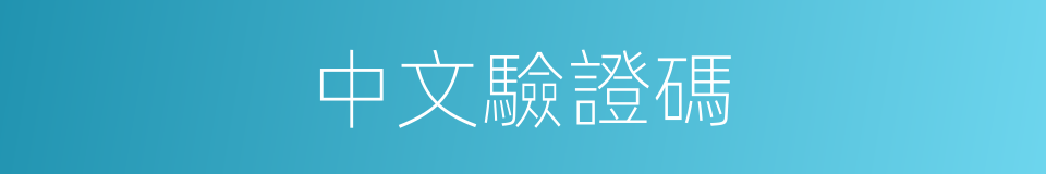 中文驗證碼的同義詞