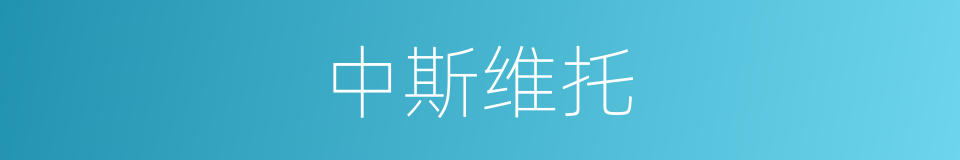 中斯维托的同义词