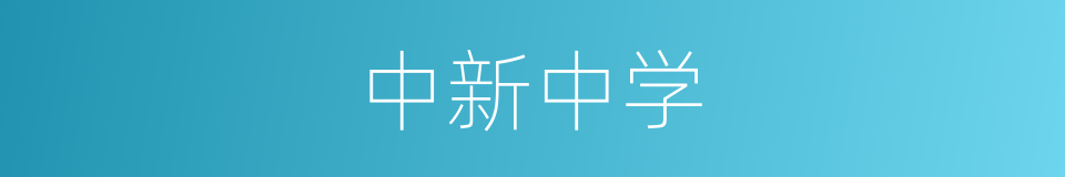 中新中学的同义词