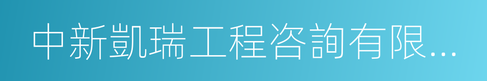 中新凱瑞工程咨詢有限公司的同義詞