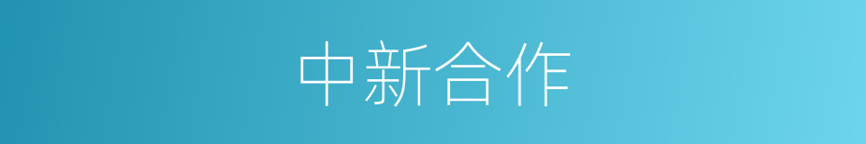 中新合作的同义词