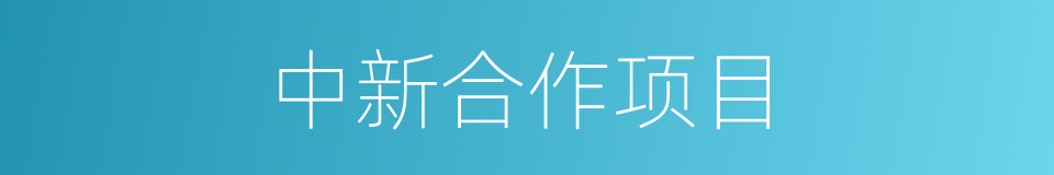 中新合作项目的同义词