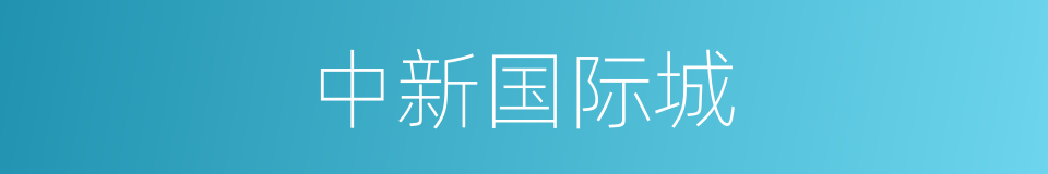 中新国际城的同义词