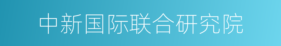 中新国际联合研究院的同义词