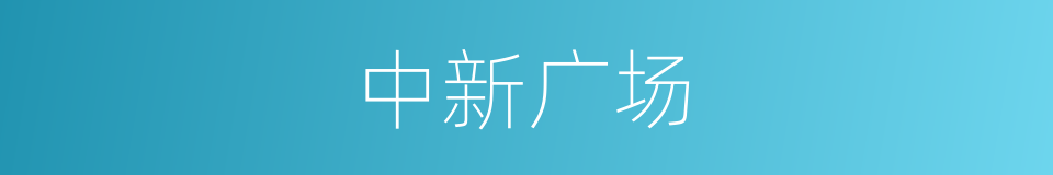 中新广场的同义词