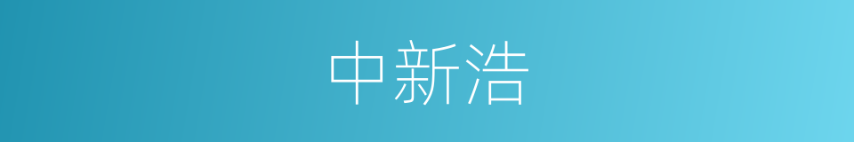 中新浩的同义词