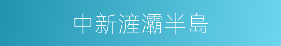 中新滻灞半島的同義詞