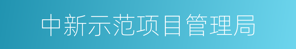 中新示范项目管理局的同义词