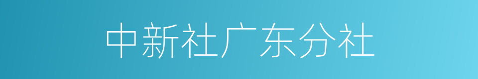 中新社广东分社的同义词