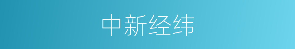 中新经纬的同义词