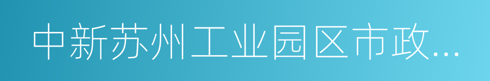 中新苏州工业园区市政公用工程建设有限公司的同义词