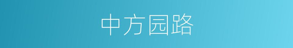 中方园路的同义词