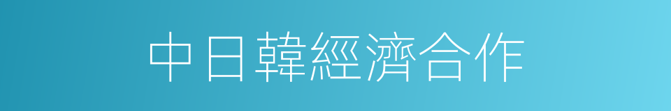 中日韓經濟合作的同義詞