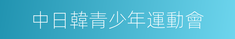 中日韓青少年運動會的同義詞