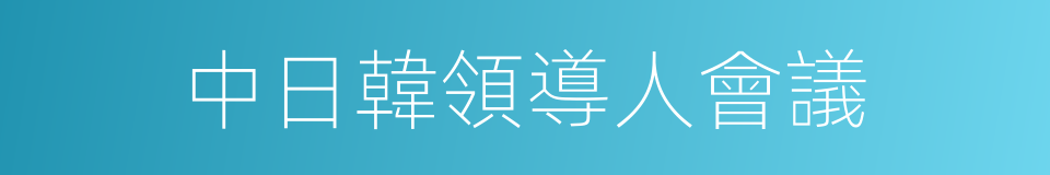 中日韓領導人會議的同義詞