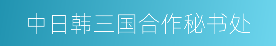 中日韩三国合作秘书处的同义词