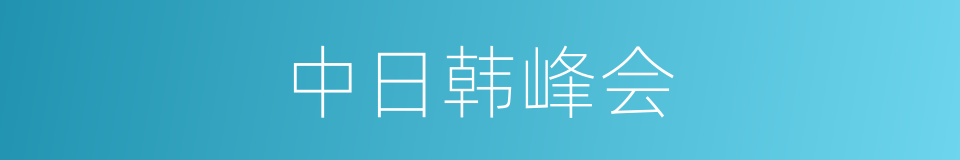 中日韩峰会的同义词