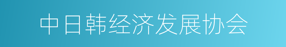 中日韩经济发展协会的同义词