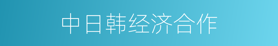 中日韩经济合作的同义词