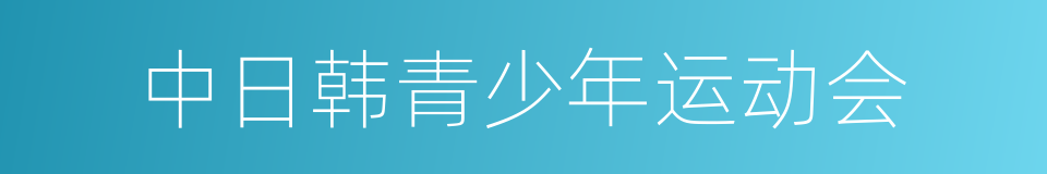 中日韩青少年运动会的同义词