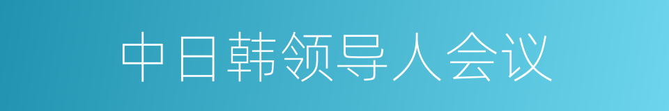 中日韩领导人会议的同义词