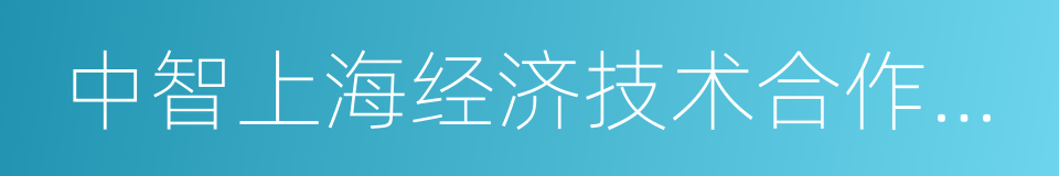 中智上海经济技术合作公司的同义词