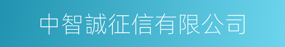 中智誠征信有限公司的同義詞