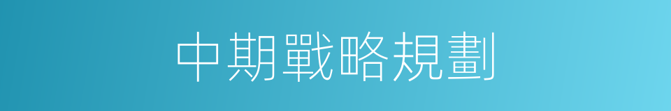 中期戰略規劃的同義詞