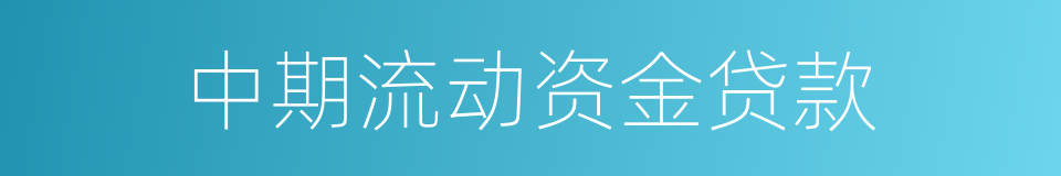 中期流动资金贷款的同义词