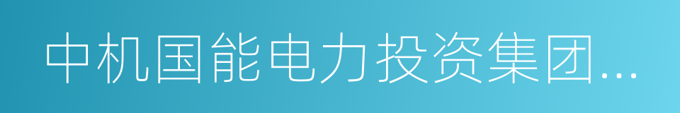 中机国能电力投资集团有限公司的同义词