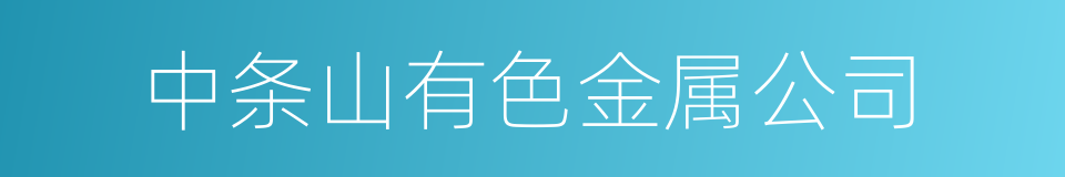 中条山有色金属公司的同义词