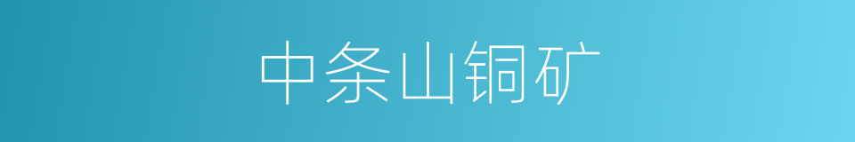 中条山铜矿的同义词