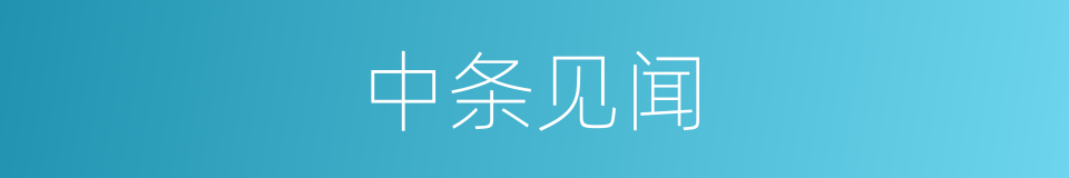 中条见闻的同义词