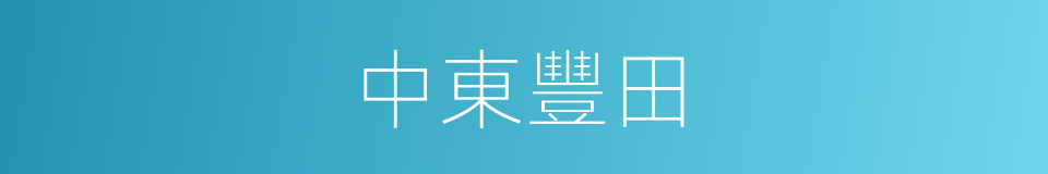 中東豐田的同義詞