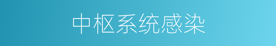 中枢系统感染的同义词