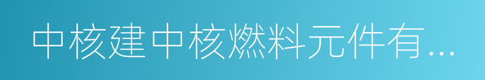 中核建中核燃料元件有限公司的同义词